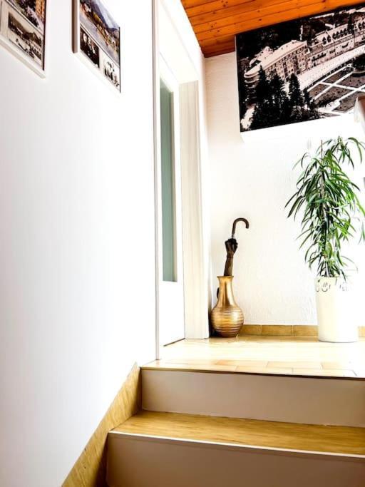 Apartma Kenda ブレッド エクステリア 写真